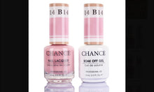 Load image into Gallery viewer, Cre8tion Gel Polish Duos “Chance”