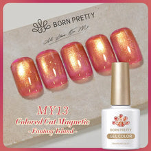 Load image into Gallery viewer, Born Pretty MY Series Cat Magnetic Eye Gel Collection
